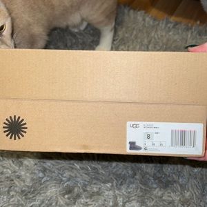 Brand new grey Ugg mini
